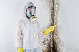 Asbestos and Lead Testing During Mold Inspection in Natalbany, LA